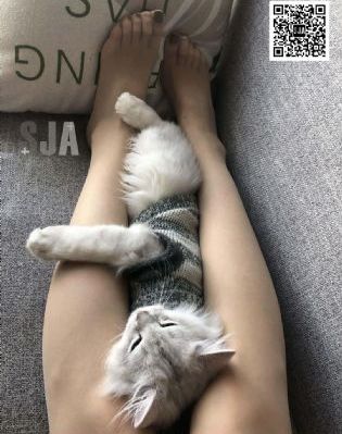 色色色无码不卡_高清视频大全